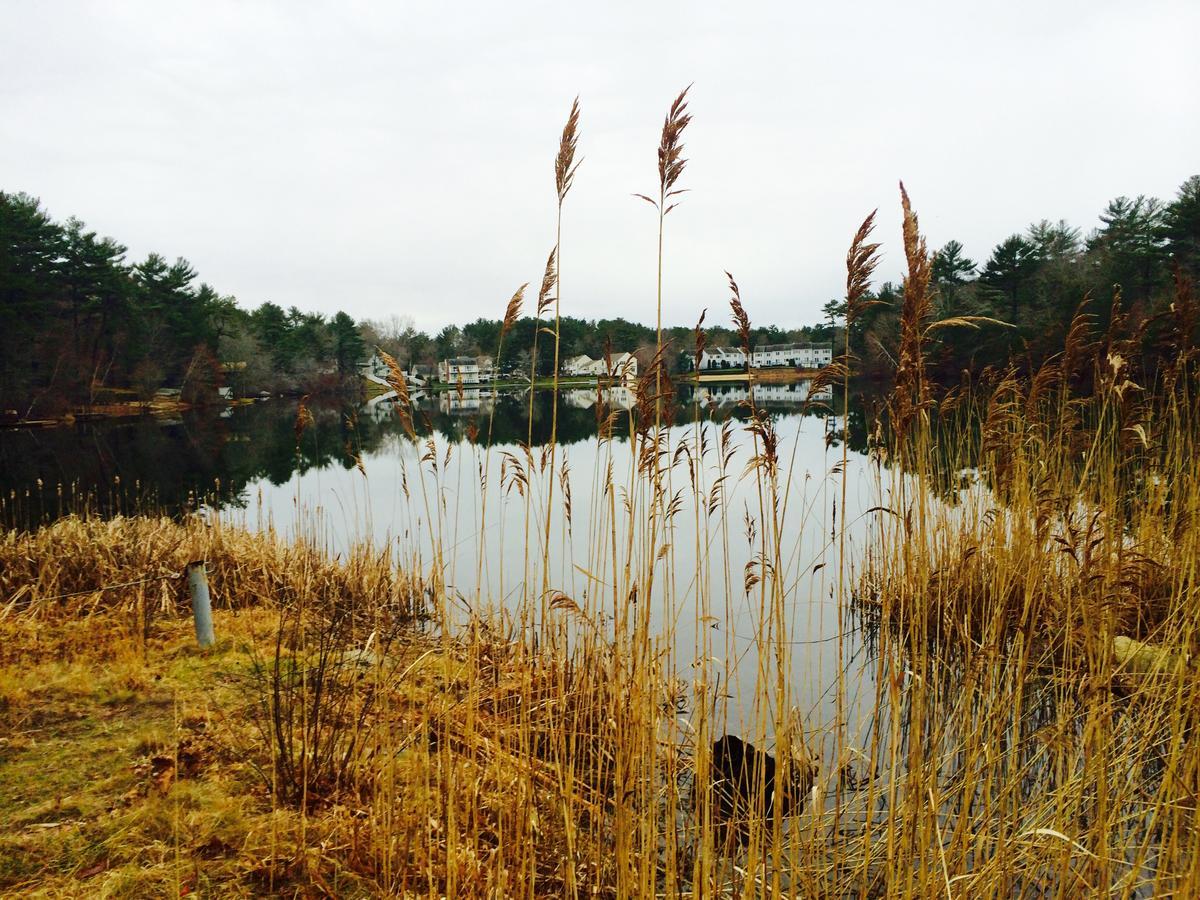 Clear Pond Getaway Appartement Plymouth Buitenkant foto