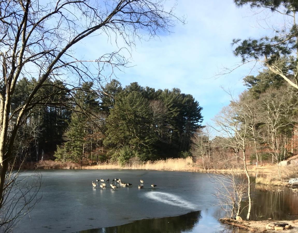 Clear Pond Getaway Appartement Plymouth Buitenkant foto